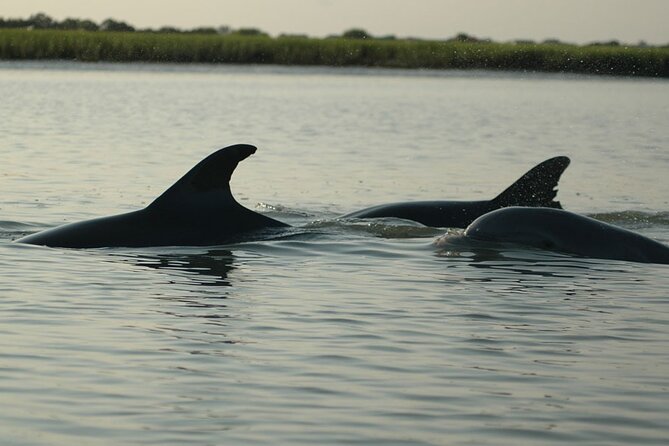 Kayak With Dolphins in Historic Shem Creek - Getting ready at Coastal Expeditions on Shem Creek
