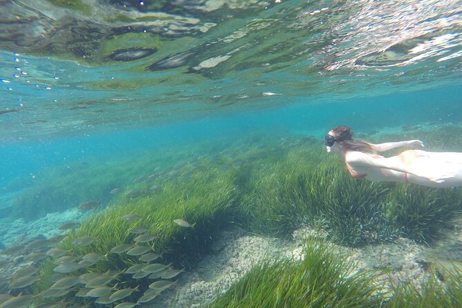 Kayak y snorkell por las mejores calas del Parque Natural Cabo de Gata - Paddling past Cabo de Gata’s coves