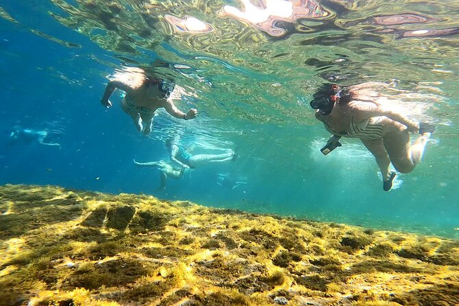 Kayaking Adventure Route with Snorkeling in Mogan Caves - Meeting point, timing, and weather decisions