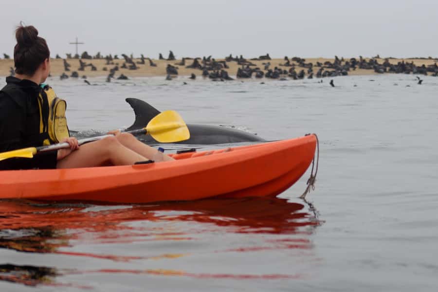 Kayaking and Sandwich Harbour Combo Tour - From calm water to a 4x4 across the dunes