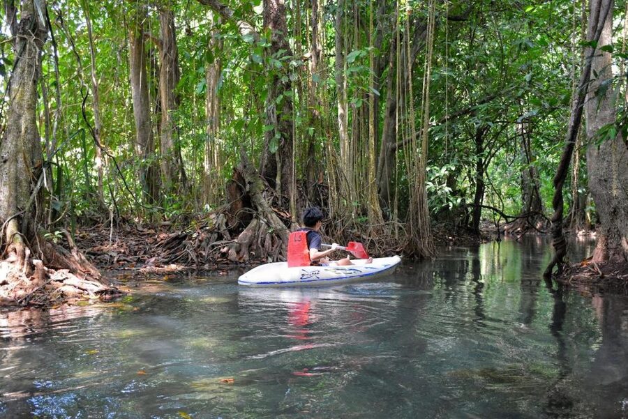 Kayaking and swiming klongrood - Key points to know before you book