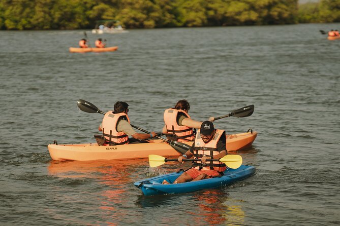 Kayaking At Private Island In Goa - Kayaking the Chapora backwaters at sunset