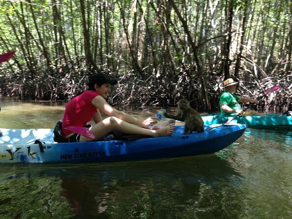 Kayaking in Ao Thalane - Discover the Mangrove life - Why Ao Thalane works so well by kayak