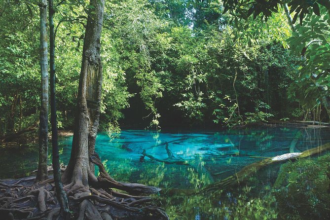 Kayaking in Ao Thalane - Discover the Mangrove life - The two-hour paddle through mangrove channels