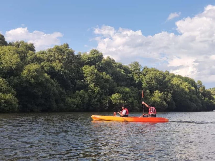 Kayaking in Backwaters of Pondicherry - Booking flexibility and timing