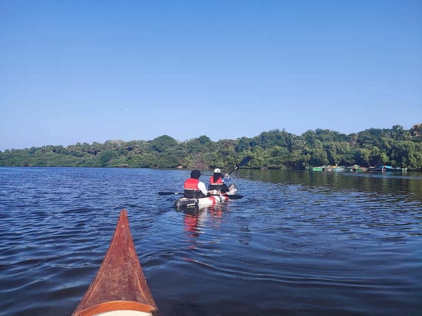 Kayaking in Backwaters of Pondicherry - How the instruction works for beginners