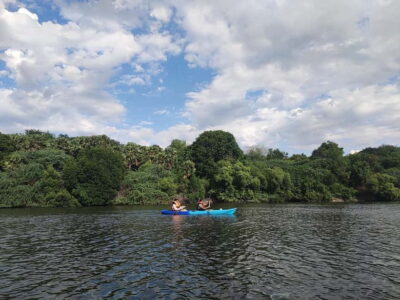 Kayaking in Backwaters of Pondicherry