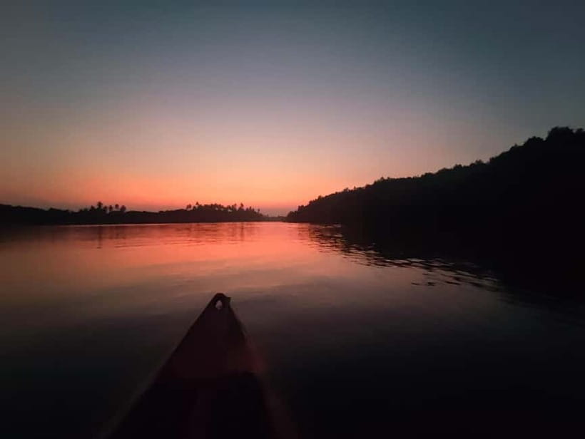 Kayaking in Backwaters of Pondicherry - The value of a $10 outing