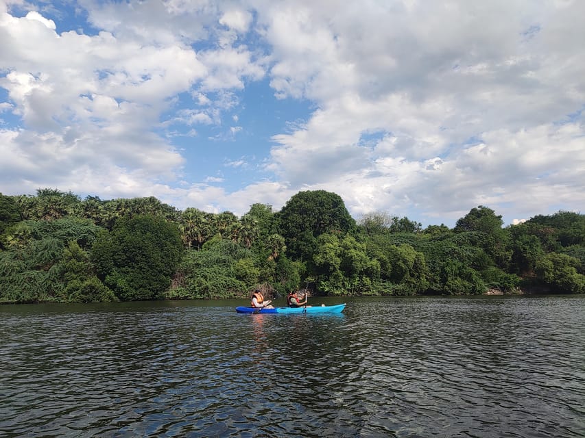 Kayaking in Backwaters of Pondicherry - Who should book this backwater paddle