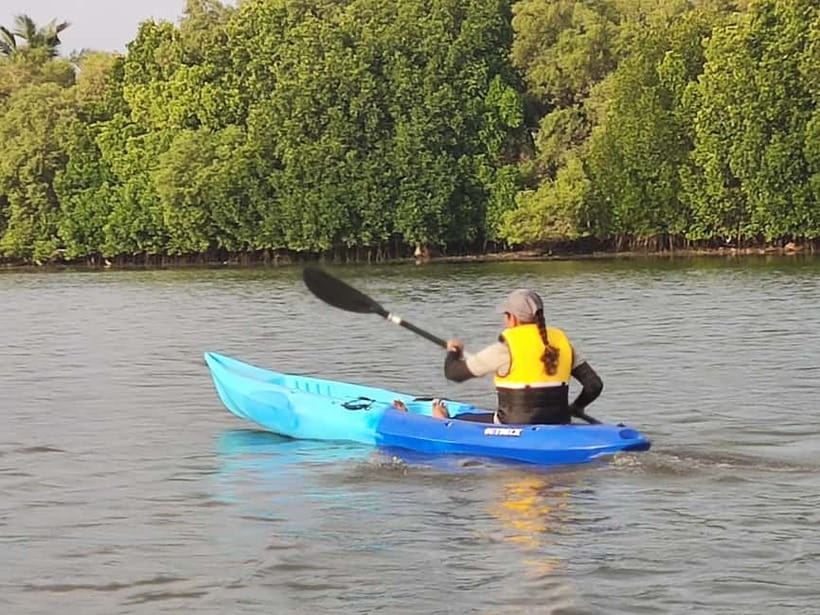 Kayaking in Backwaters of Pondicherry - The practical rhythm of the one-hour session