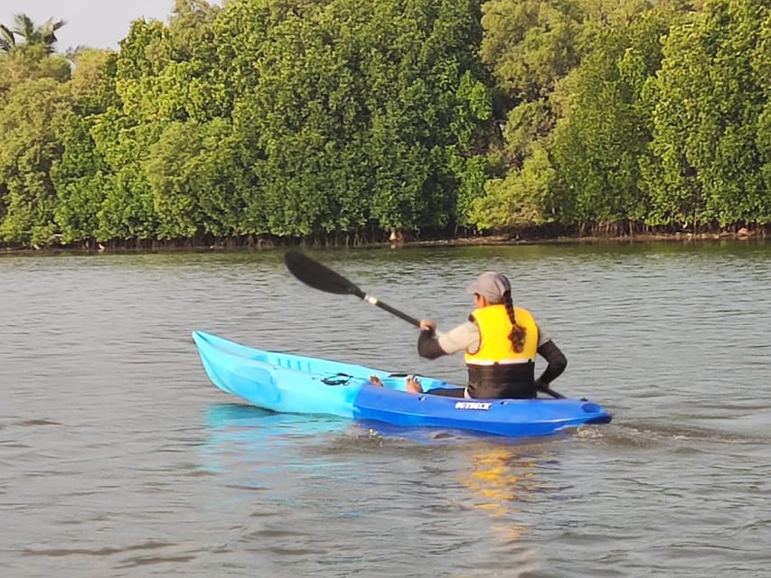 Kayaking in Backwaters of Pondicherry - What the strong ratings mean in practical terms