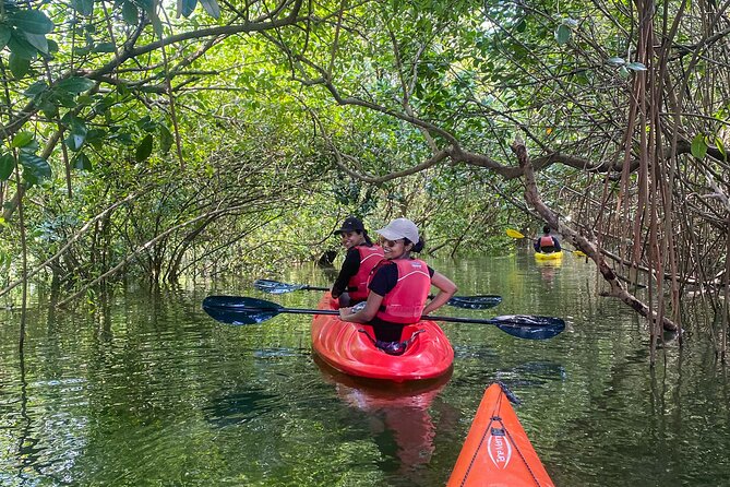 Kayaking in Mangrove Forest of Paravur Backwaters near Varkala and Kollam - Why Paravur Backwaters are worth your time