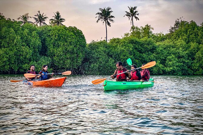 Kayaking in Mangrove Forest of Paravur Backwaters near Varkala and Kollam - Chithan Thampuran Temple Island