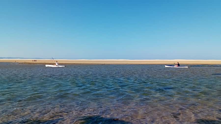 Kayaking Jeffreys Bay - Wildlife and nature reserve views