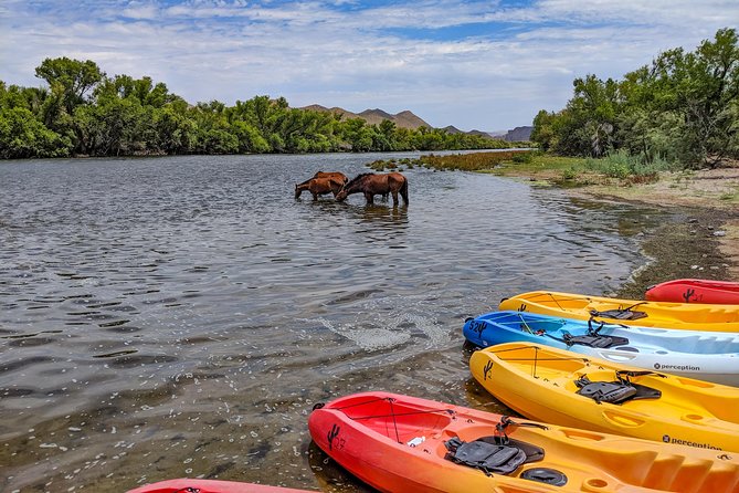 Kayaking the Salt River Foxtail Trip - Launching into the Salt River