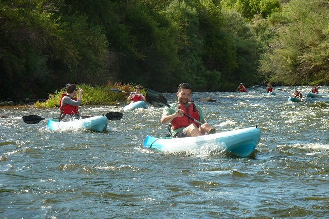 Kayaking the Salt River Foxtail Trip - Wildlife, river views, and the best time to go