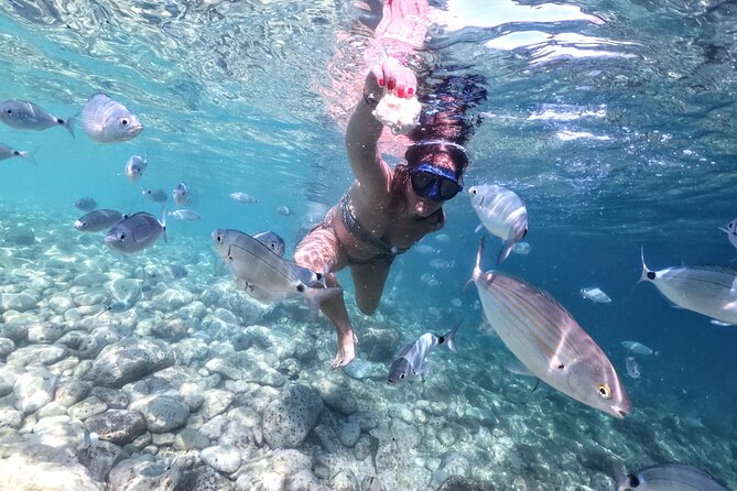 Kayaking to Island Saint Jerolim with snorkeling activitie - Who will enjoy this trip most
