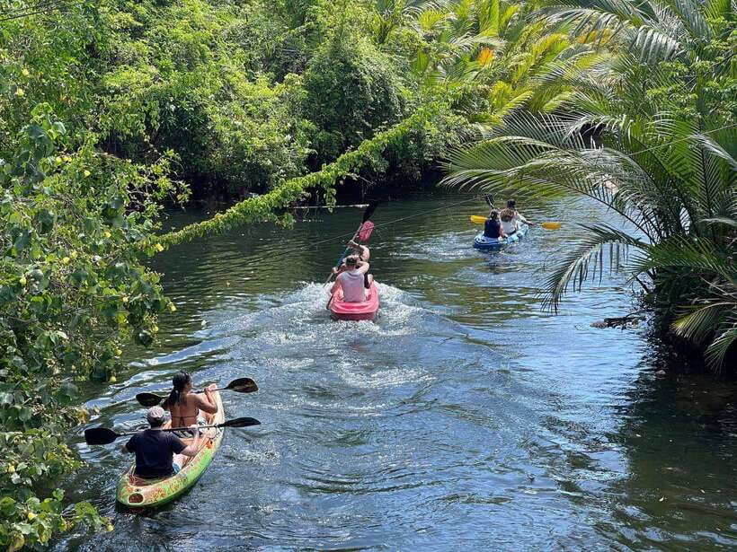 Kayaking tour around green cathedral - Two hours on the water and beside the river