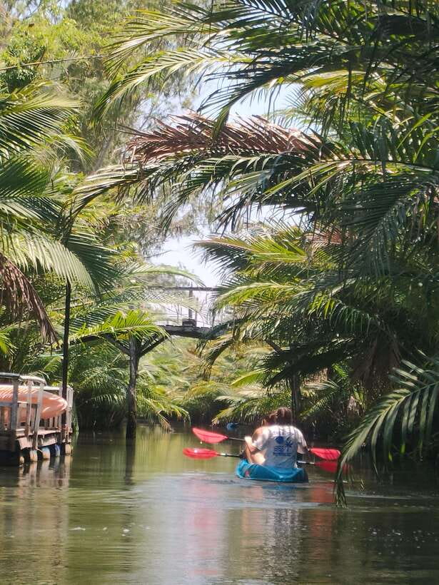 Kayaking tour around green cathedral - Who should book this outing
