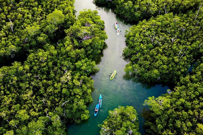 Kayaking Tour in Cancun - Equipment, paddle boards, and comfort on the water