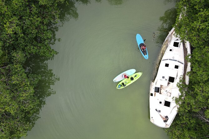 Kayaking Tour in Cancun - Who should book this lagoon tour?