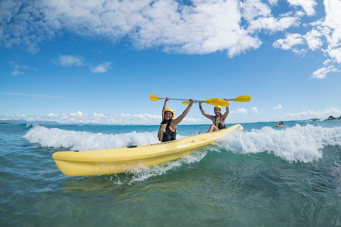 Kayaking with Dolphins in Byron Bay Guided Tour - Should you book the Cape Byron dolphin kayak?