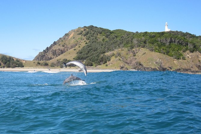 Kayaking with Dolphins in Byron Bay Guided Tour - Turtles, whales, and the seasonal bonus