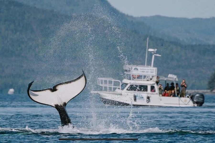 Ketchikan: Orca Cove Fast Boat and Sea Kayak Tour - Leaving Ketchikan behind by fast boat