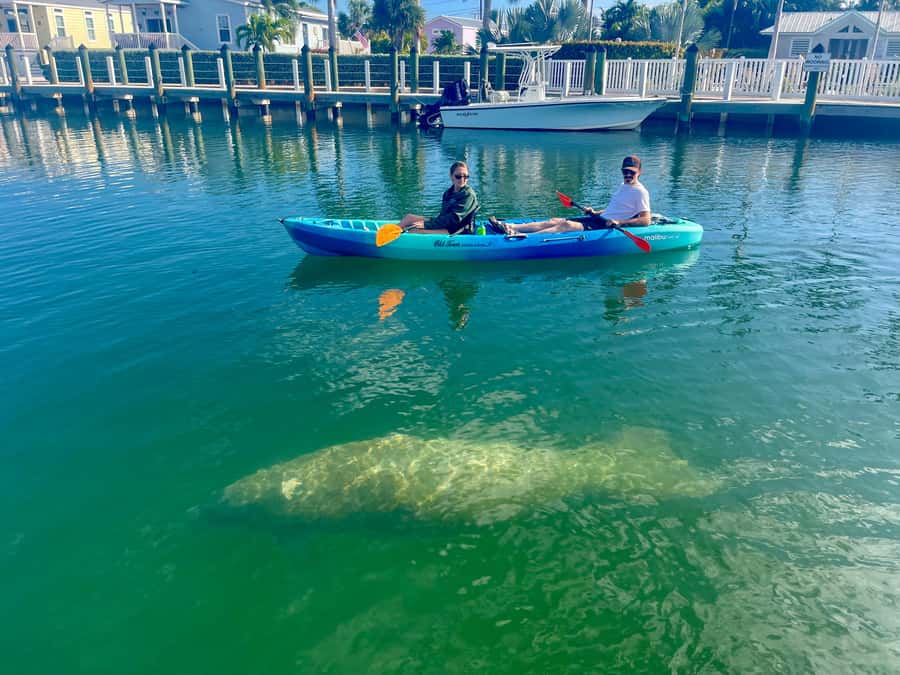 Key West: 2-hour Mangrove Kayak Tour - Key points to know before you book