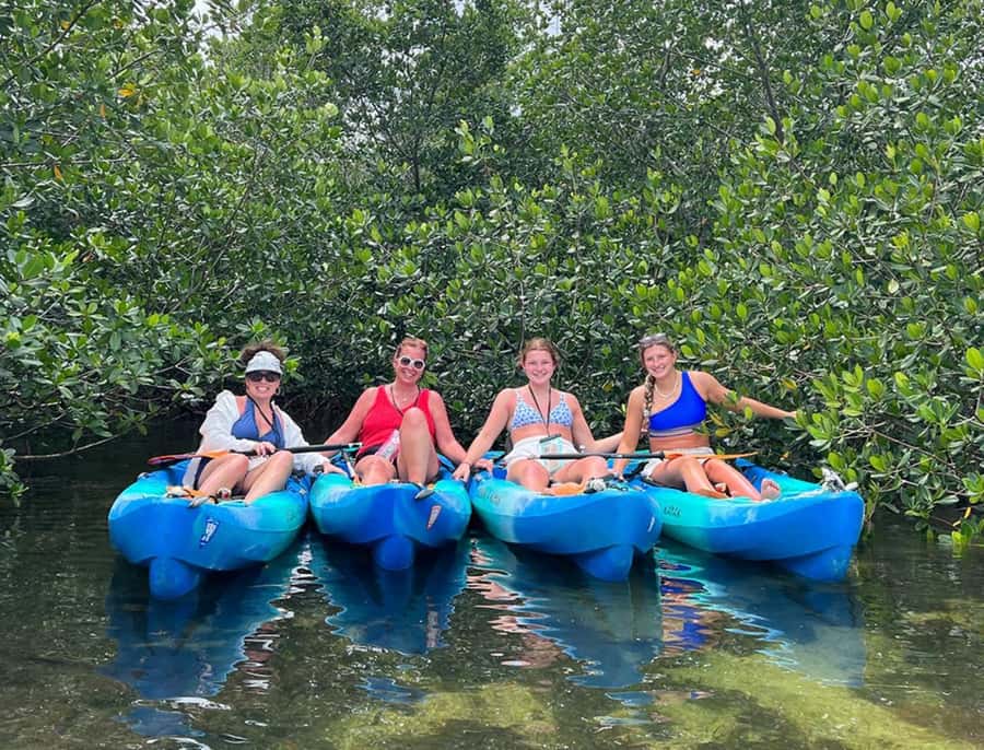 Key West: 2-hour Mangrove Kayak Tour - Why the mangrove tunnels are worth your morning