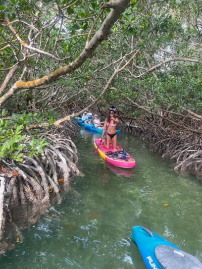 2-hour Mangrove Kayak Tour