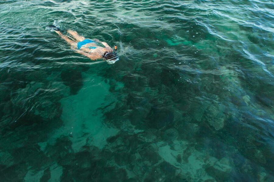 Key West Afternoon Sail, Snorkel, Kayak & Sunset Excursion - Kayaking through the mangrove channels