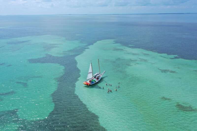 Key West Afternoon Sail, Snorkel, Kayak & Sunset Excursion - Snorkeling in Florida Keys waters