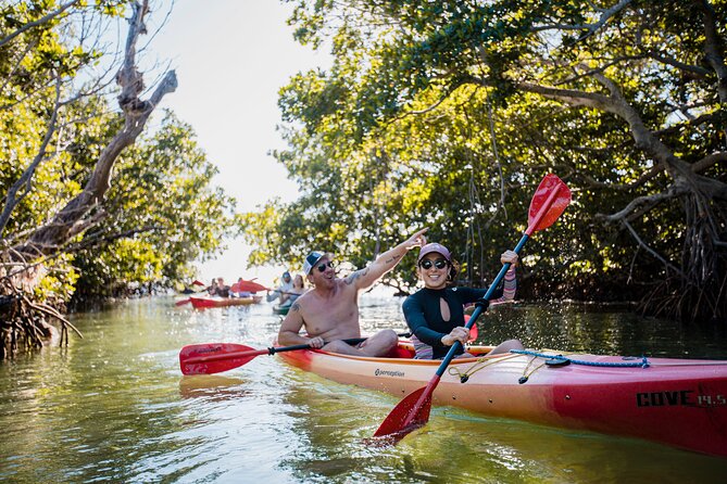 Key West Full-Day Ocean Adventure: Kayak, Snorkel, Sail - Kayaking through the mangrove canopy
