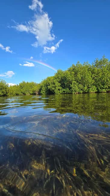Key West: Kayak or Paddleboard Rental - Key things to know before you paddle