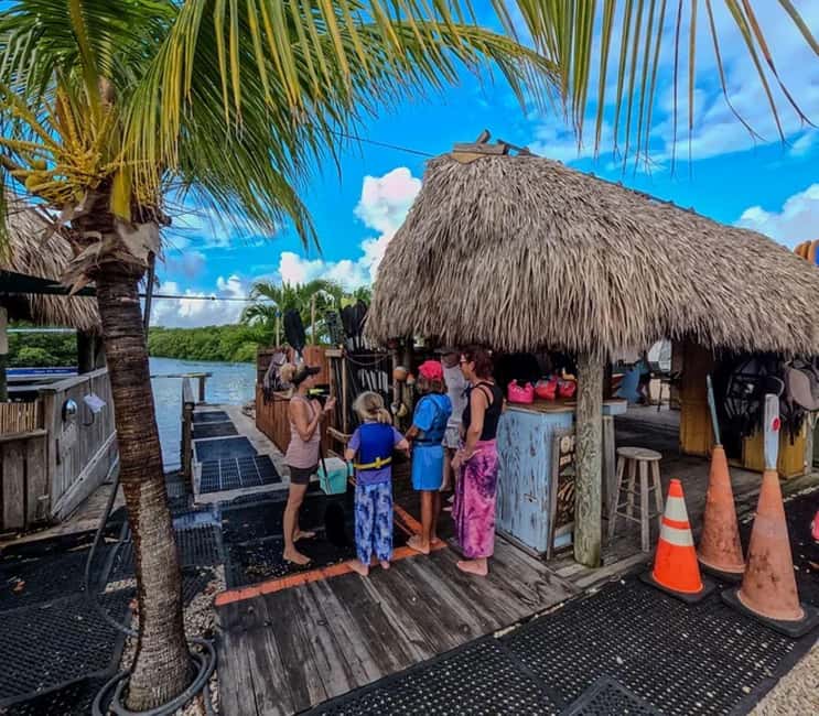 Key West: Kayak or Paddleboard Rental - Choosing between a single kayak, tandem kayak, and paddleboard