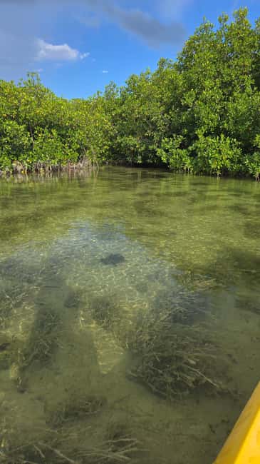 Key West: Kayak or Paddleboard Rental - The first few minutes: instruction and the map