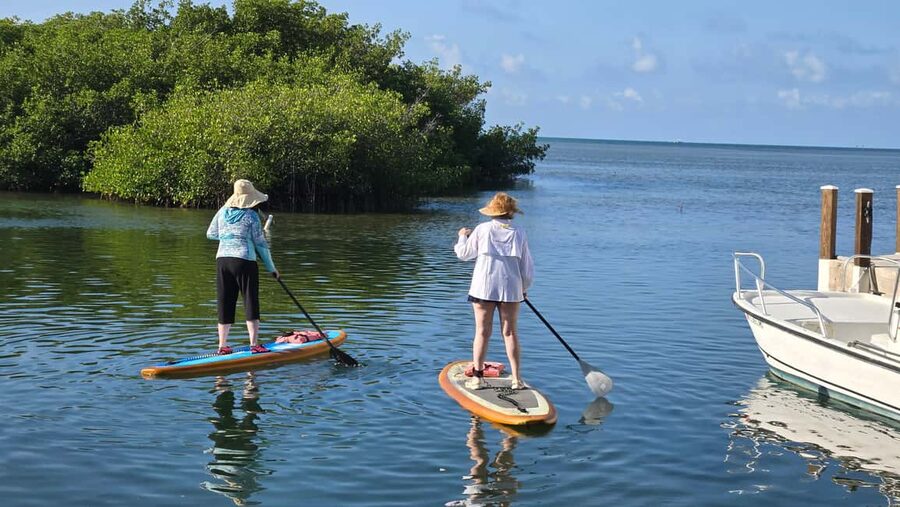 Key West: Kayak or Paddleboard Rental - Paddling through the mangrove tunnels