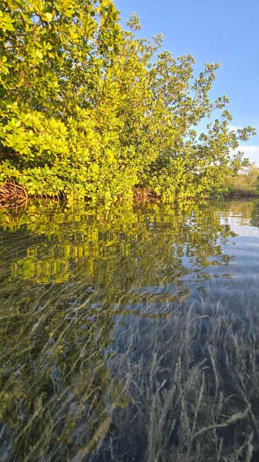 Key West: Kayak or Paddleboard Rental - Arriving at the Tiki Hut on 5 Geiger Road