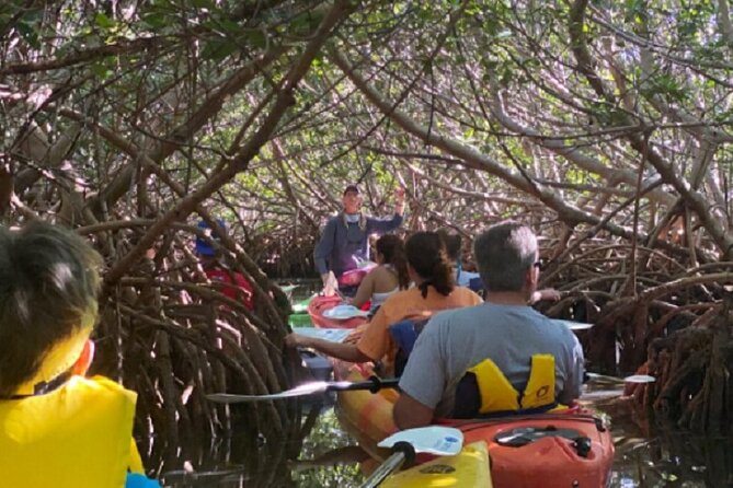 Key West Mangrove Kayak Eco Tour - What the two-hour length really gives you