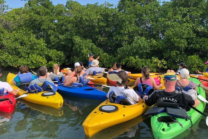 Key West Mangrove Kayak Eco Tour - Who will enjoy this most