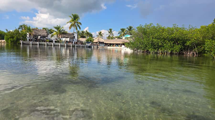 Key West: Mangrove Kayak or SUP Eco Tour - What the $140 price really covers