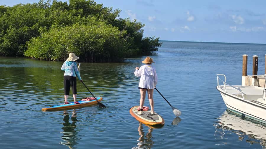 Key West: Mangrove Kayak or SUP Eco Tour - What to bring for a comfortable paddle