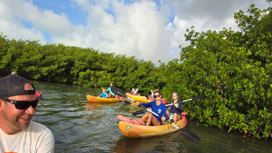 Key West: Mangrove Kayak or SUP Eco Tour - Who should book this outing