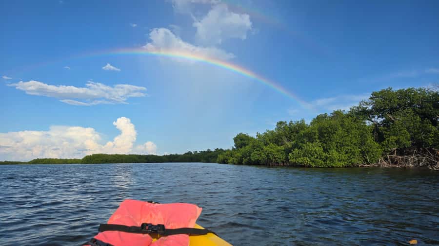 Key West: Mangrove Kayak or SUP Eco Tour - Starting with pickup and a short transfer