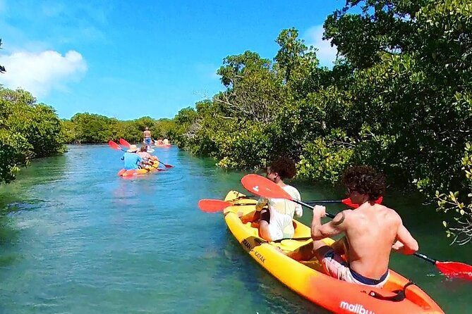 Key West Sandbar Charter With Kayak Tour: Includes Lunch & Drinks - A five-hour escape from Key West