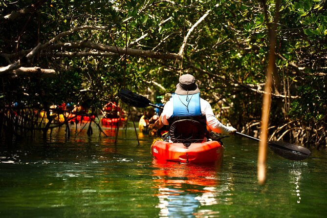 Key West Sandbar Charter With Kayak Tour: Includes Lunch & Drinks - Lunch and drinks after the paddle