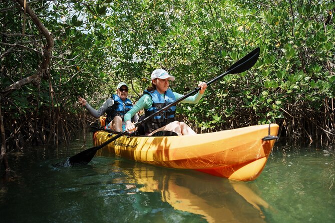 Key West Sandbar Charter With Kayak Tour: Includes Lunch & Drinks - Comfort, equipment, and what to pack