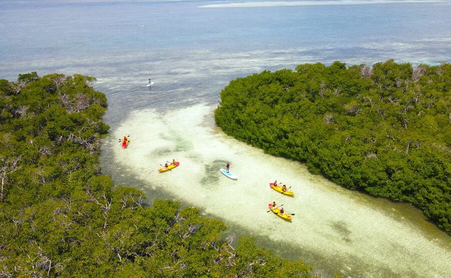 Key West: Sandbar Excursion & Kayak Tour with Lunch & Drinks - Reaching the secluded sandbar