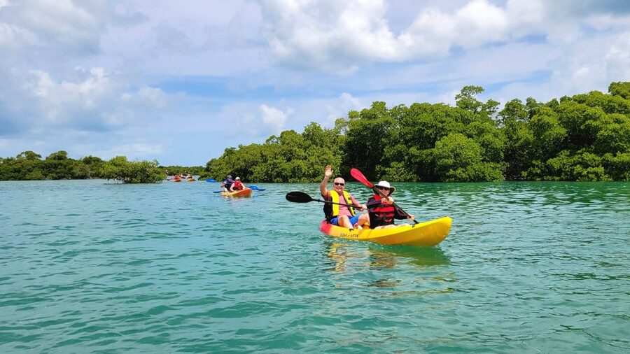 Key West: Sandbar Excursion & Kayak Tour with Lunch & Drinks - Who should book this excursion